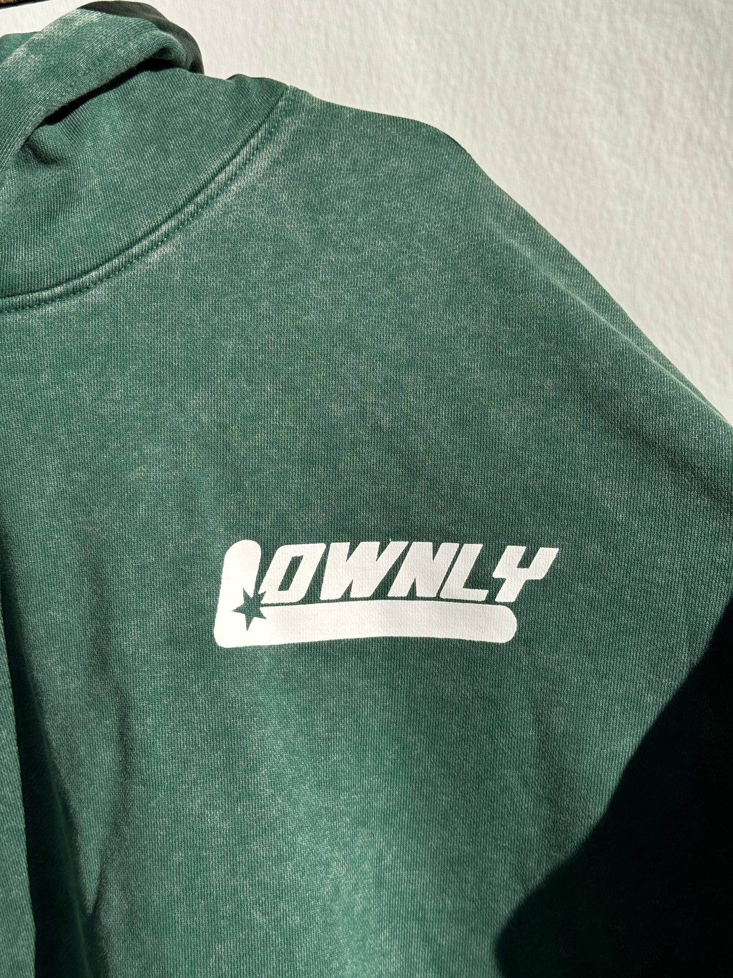 Washed LOWNLY Hoodie GREEN